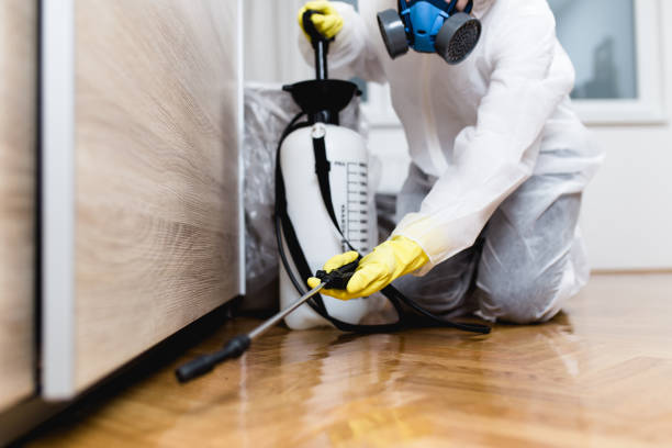 Best Pest Inspection Near Me  in Syracuse, KS