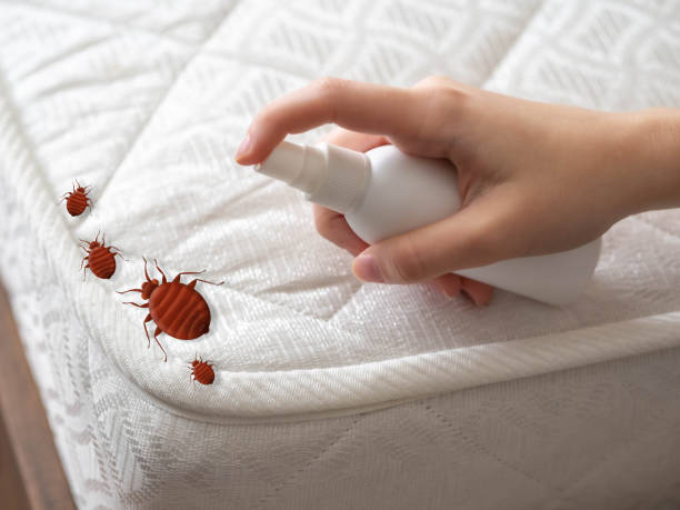 Trusted Syracuse, KS Pest Control Experts