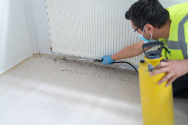 Best Pest Control Near Me  in Syracuse, KS