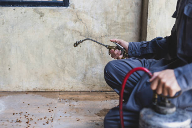 Best Exterminator Services  in Syracuse, KS