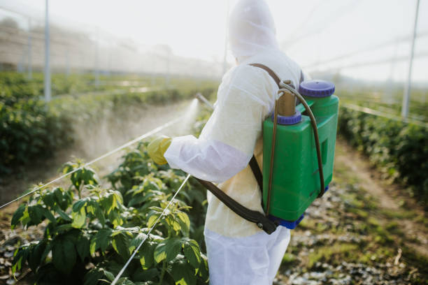 Best Pest Inspection Near Me  in Syracuse, KS